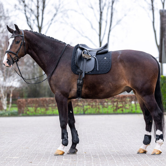 HVPolo Dressyrschabrak Essential, Svart