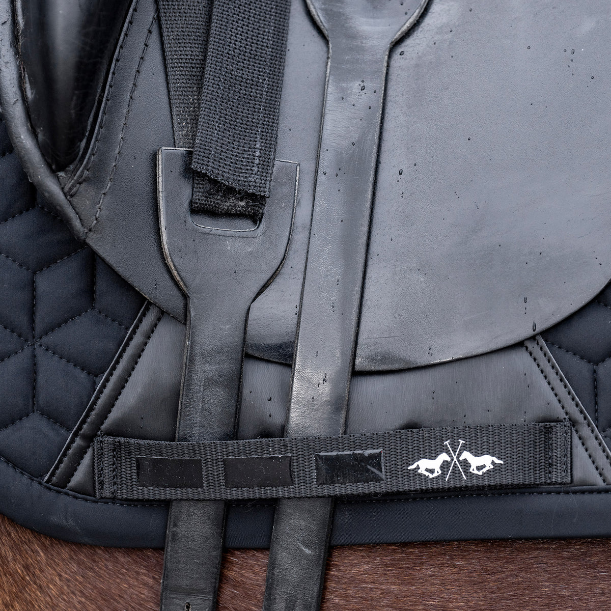 HVPolo Dressyrschabrak Essential, Svart