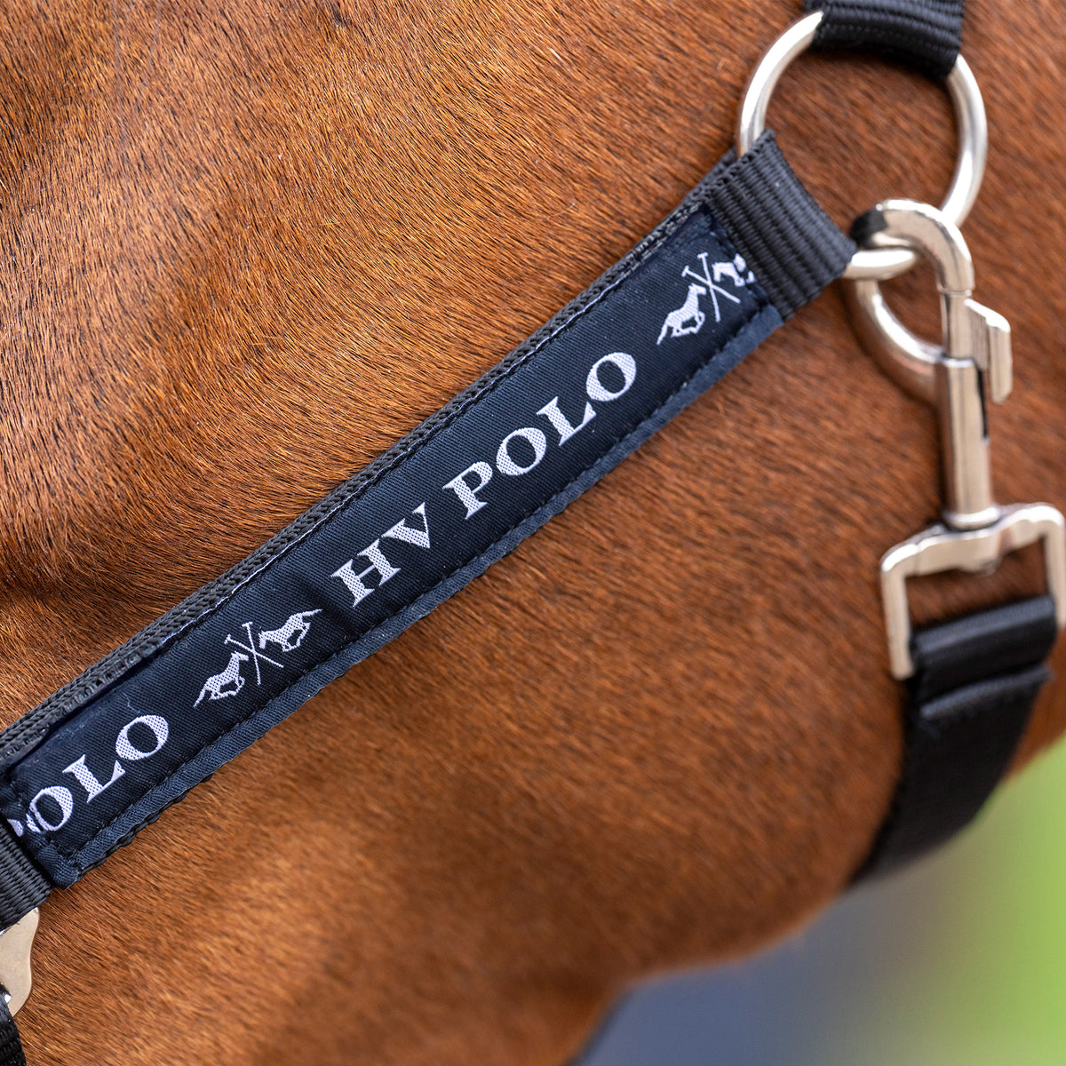 HVPolo Grimma Nena