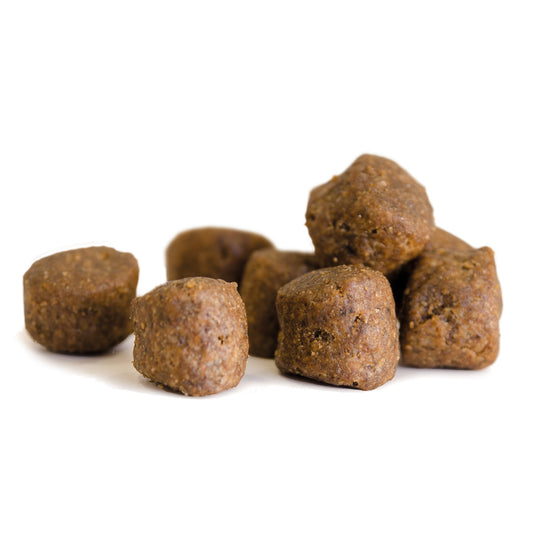 Adult Hundfoder 3kg