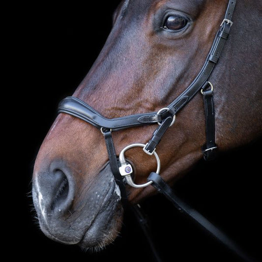 Bridle HVPLegacy Anatomical deluxe