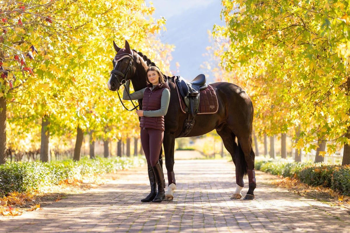 AW25 LM Loire Classic Dressage Square Damson