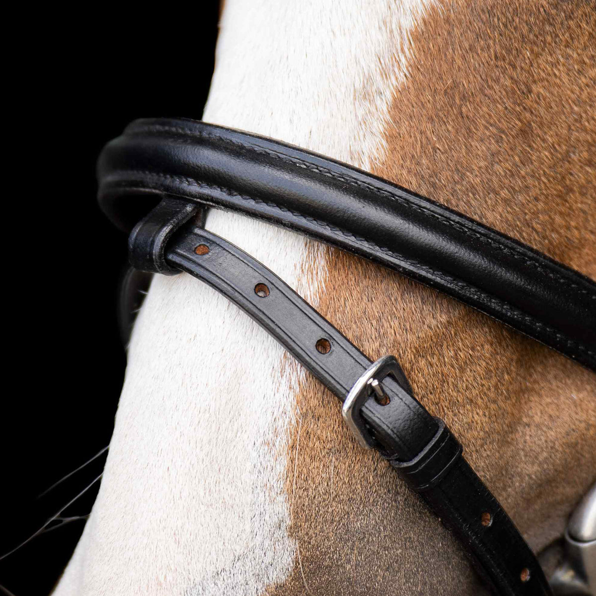 SHETTY Bridle IRHStormy