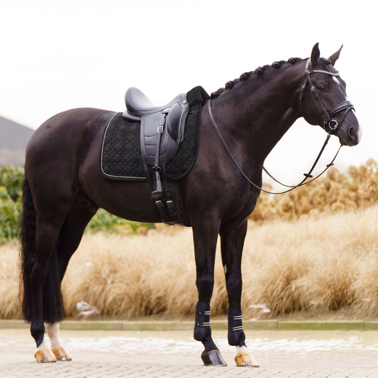 Saddlepad Simone DR Svart