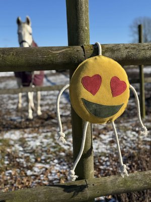 SC Emoji Toys