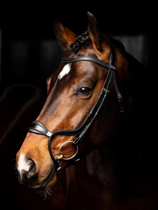 LM Arika Adjustable Anatomic Noseband Bridle Black/Silver