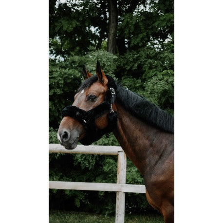 Licol Je t'aime EQUITHÈME - Snuggy