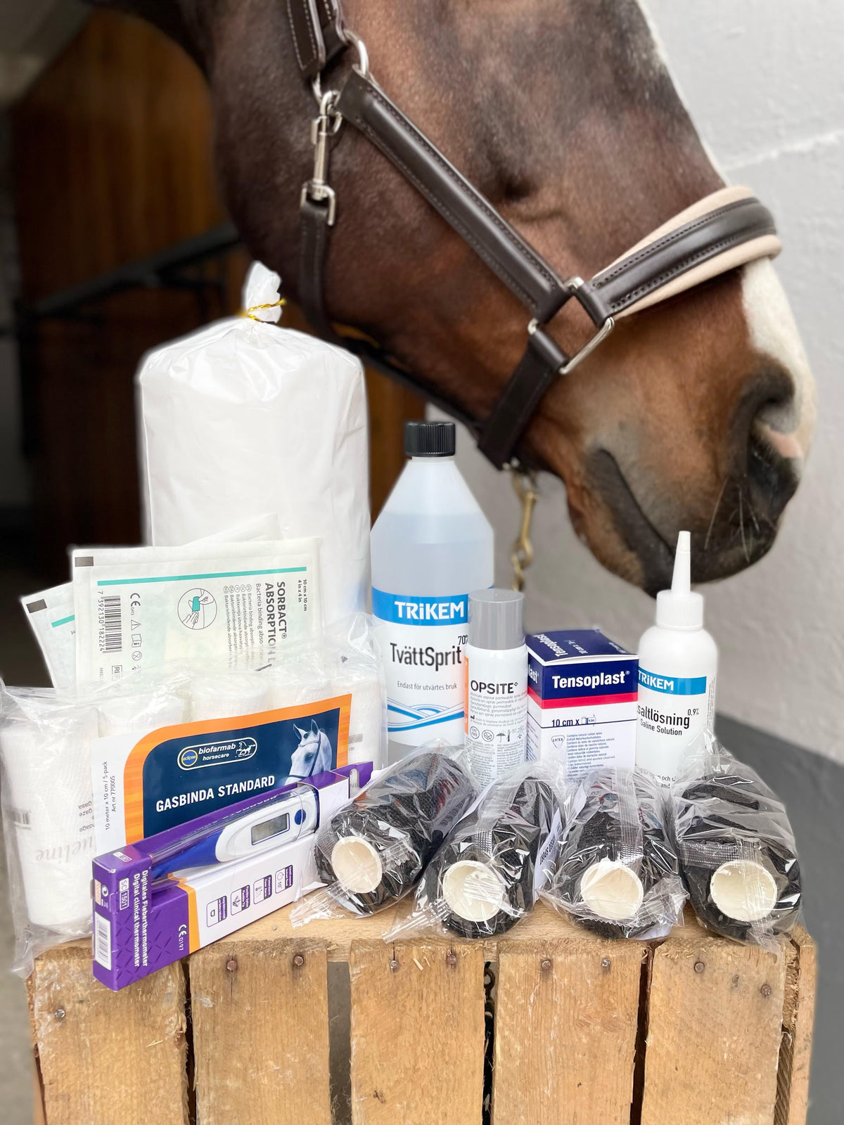 Veterinärvård