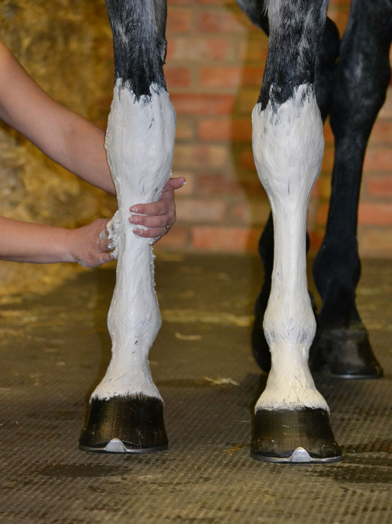 Lera & Liniment