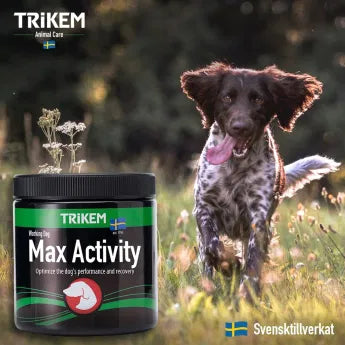 Kosttillskott Hund