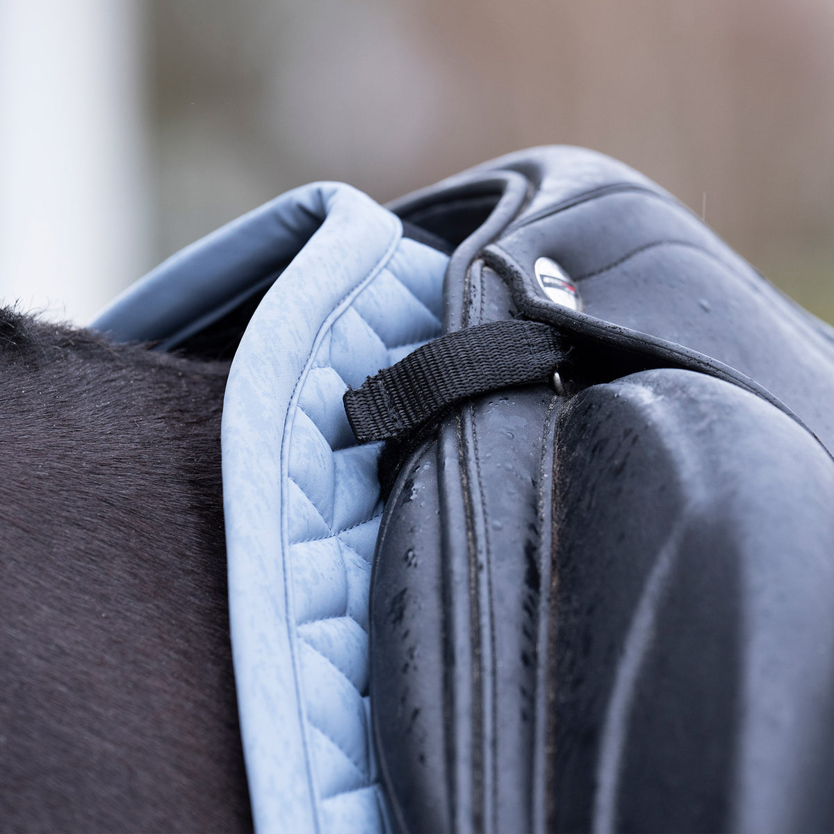 HVPolo Dressyrschabrak Essential, Duvblå