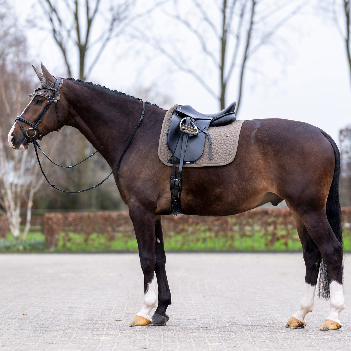 HVPolo Dressyrschabrak Essential, Stone