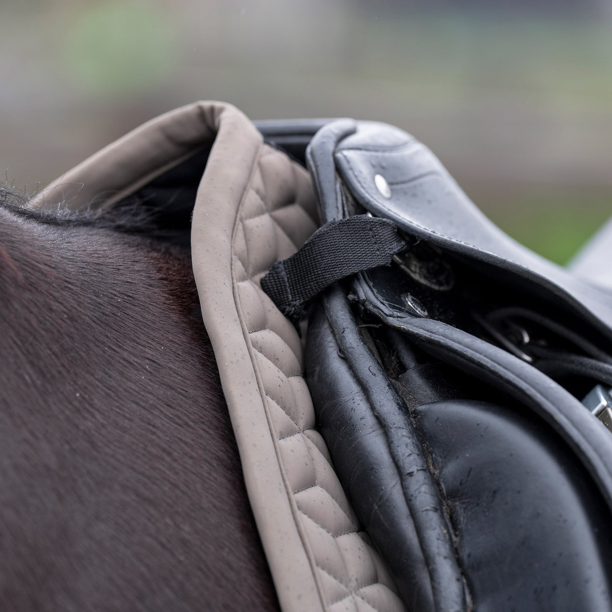 HVPolo Dressyrschabrak Essential, Stone
