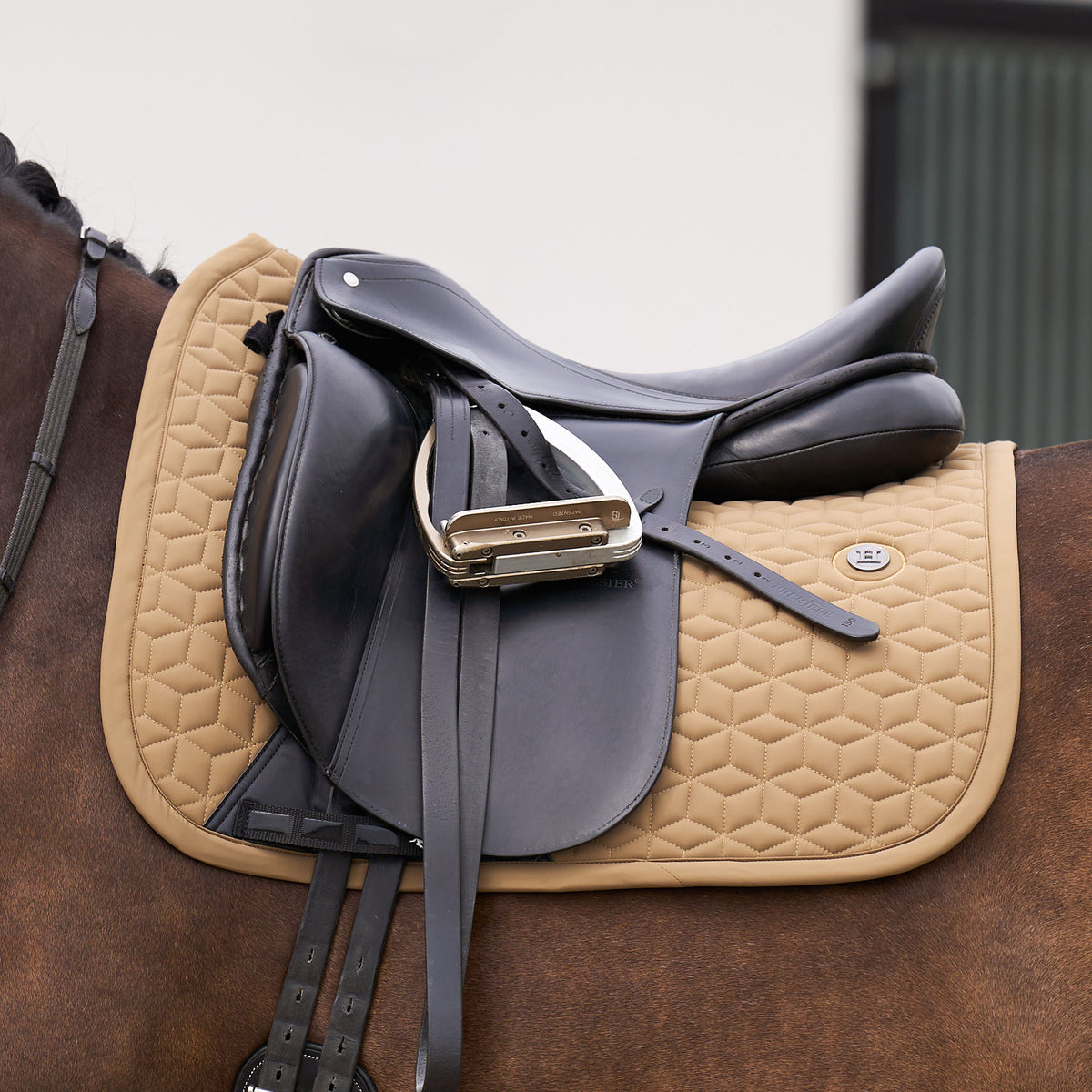 HVPolo Dressyrschabrak Essential, Straw