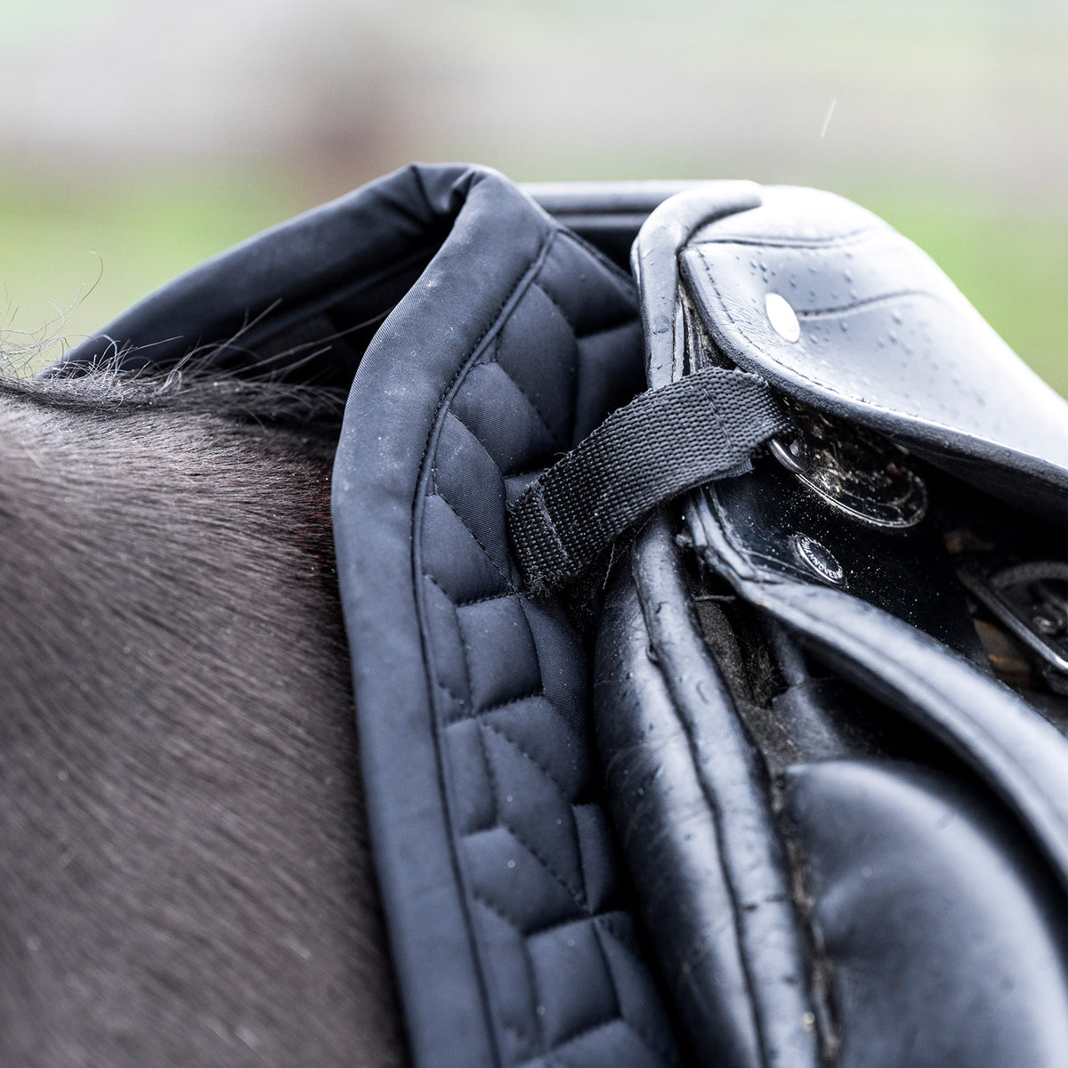 HVPolo Dressyrschabrak Essential, Svart