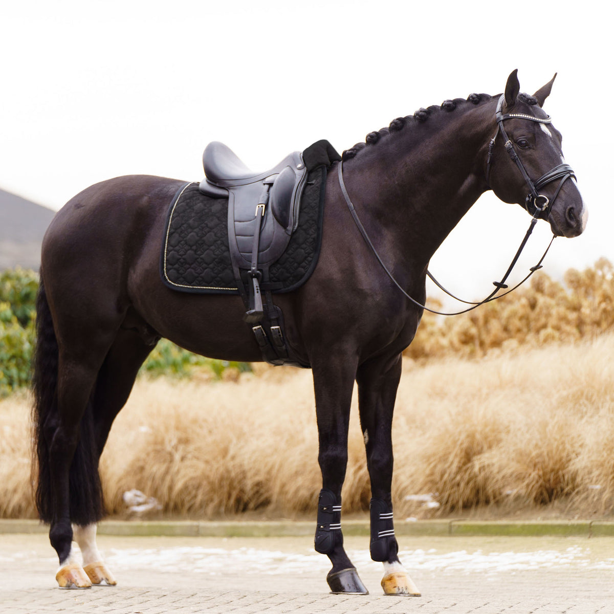 Saddlepad IRHSimone DR