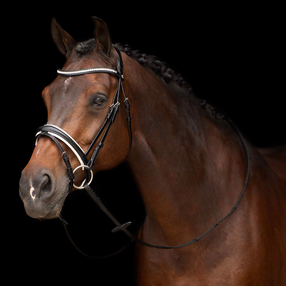 HVPolo Träns Legacy deluxe