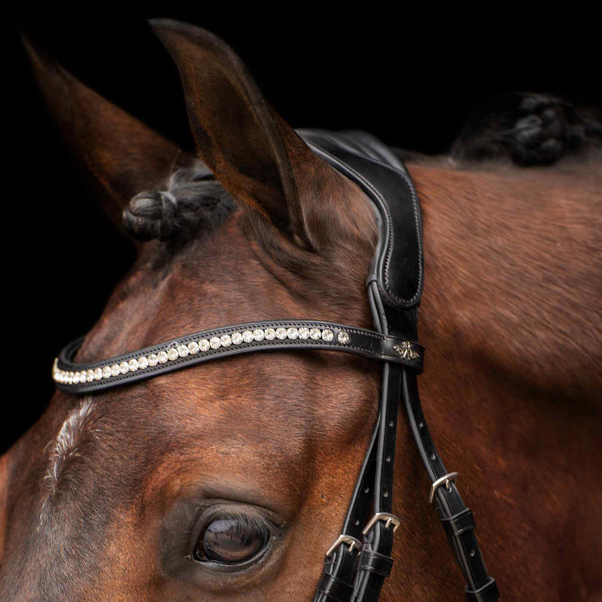 HVPolo Träns Legacy deluxe