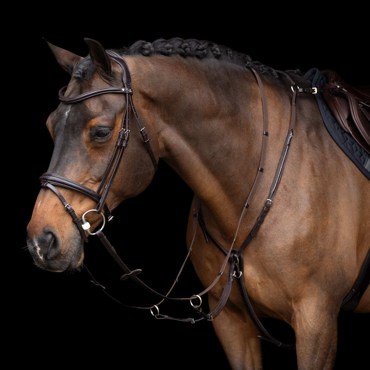 HVPolo Legacy Förbygel med Martingal, Mörkbrun