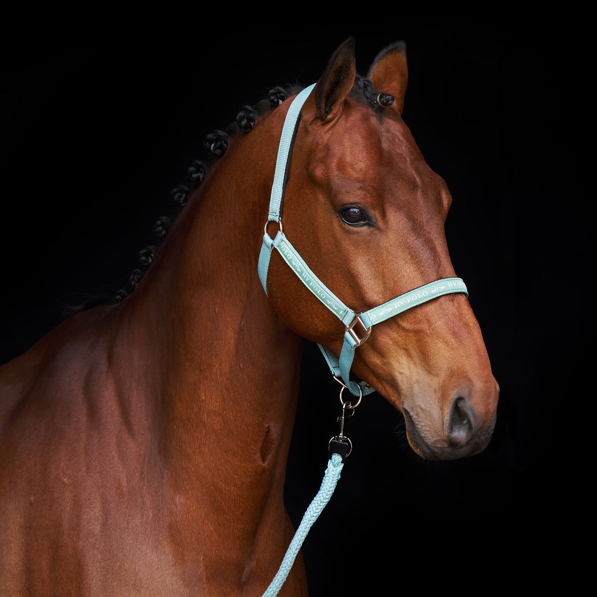 HVPolo Grimma HVPNena -Flera färger