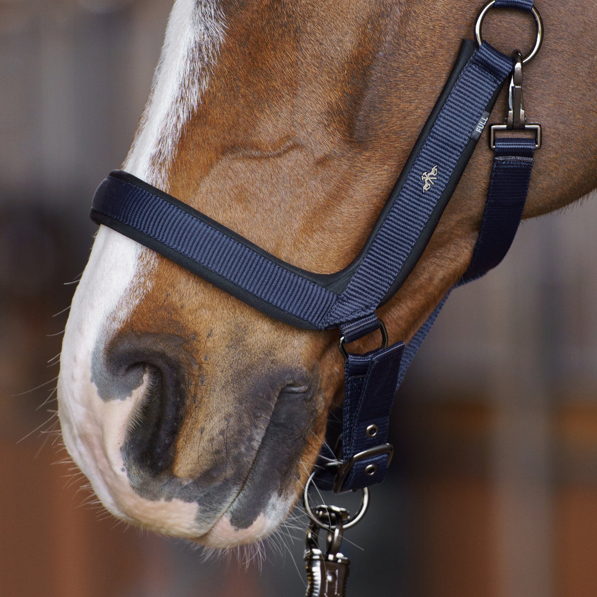 HVPolo Grimma Essential - Flera färger