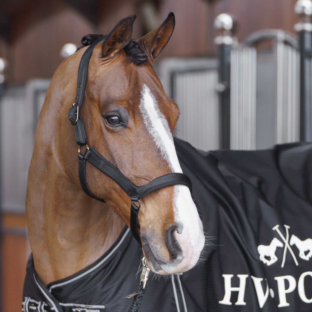 HVPolo Grimma Essential - Flera färger