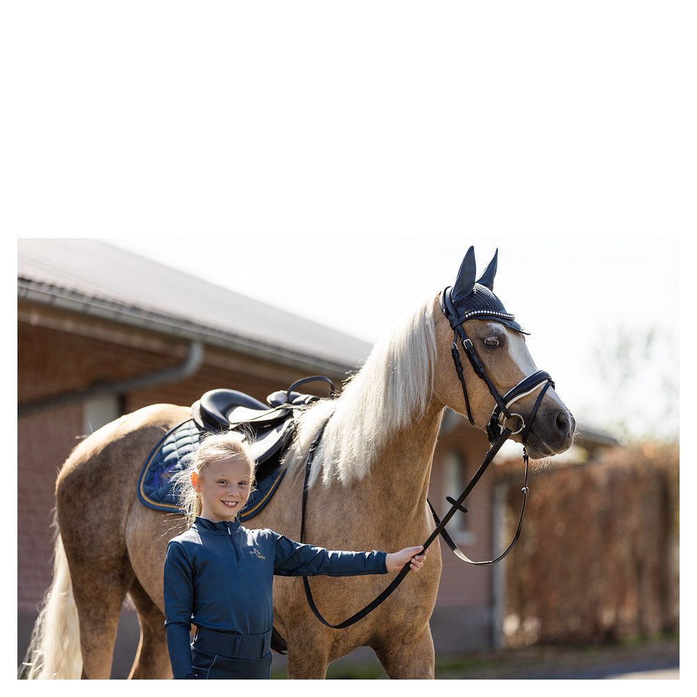 BR Mini Horse Schabrak