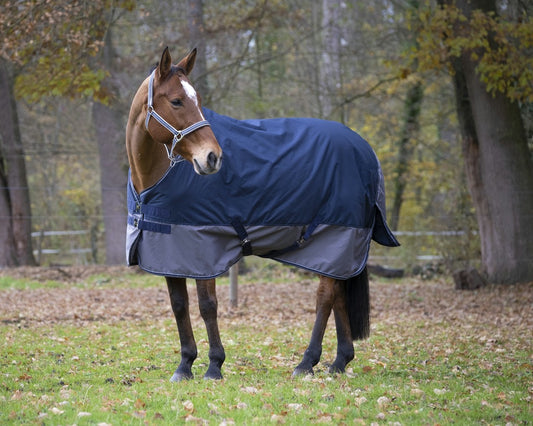 EQUITHEME Tyrex 600 D Turnout Täcke Navy/Grå