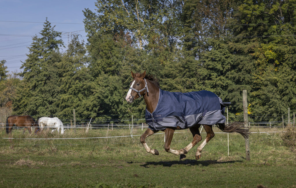 EQUITHÈME Tyrex 600 D Turnout Täcke High Neck Navy/Grå 0 g