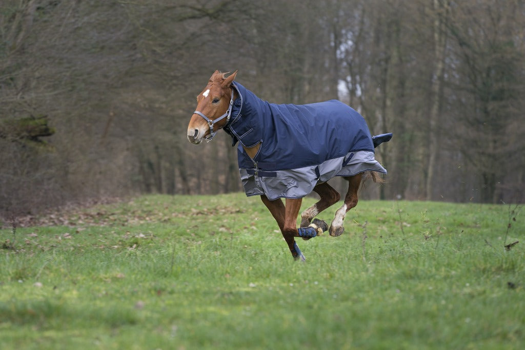 EQUITHÈME Tyrex 600 D Combo Turnout Täcke Navy/Grå 0 g