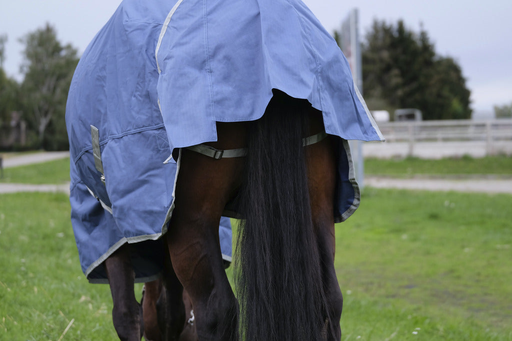 EQUITHEME 'TYREX 600D' Recycled Turnout Hästtäcke Navy 50g