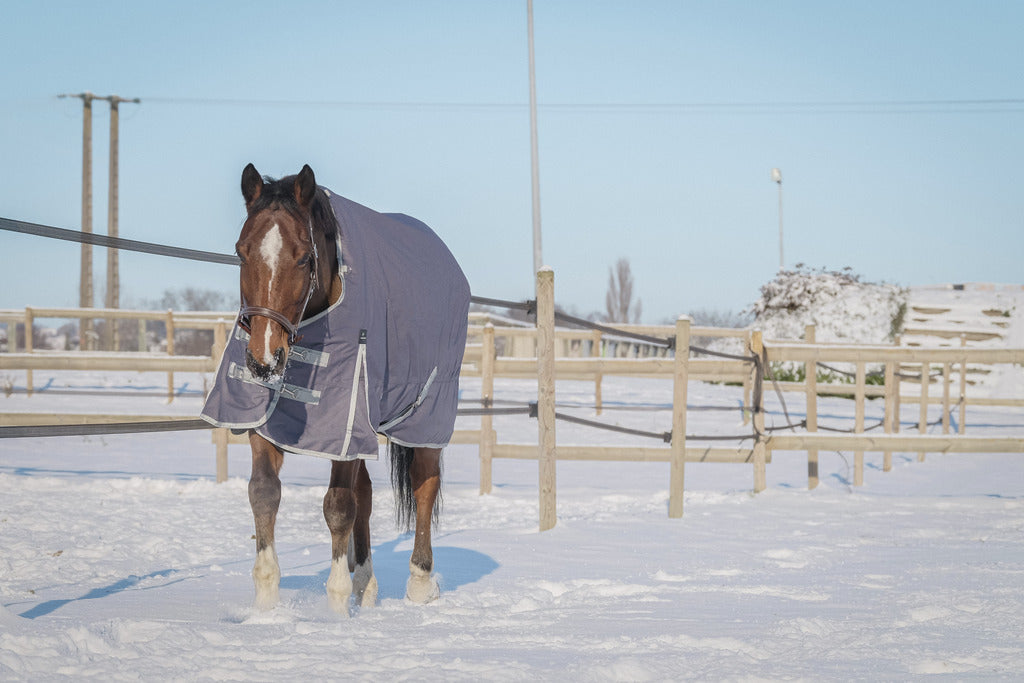 EQUITHEME 'TYREX 1200D' Recycled Turnout Hästtäcke Taupe 300 g