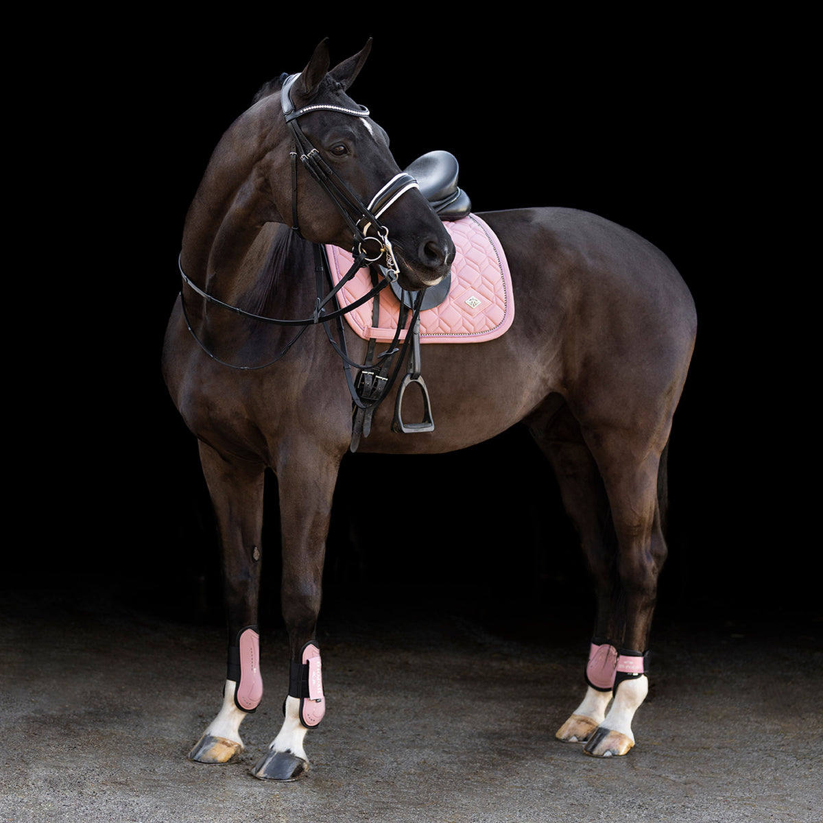 HVPolo Sen + Kotskydd HVPClassic