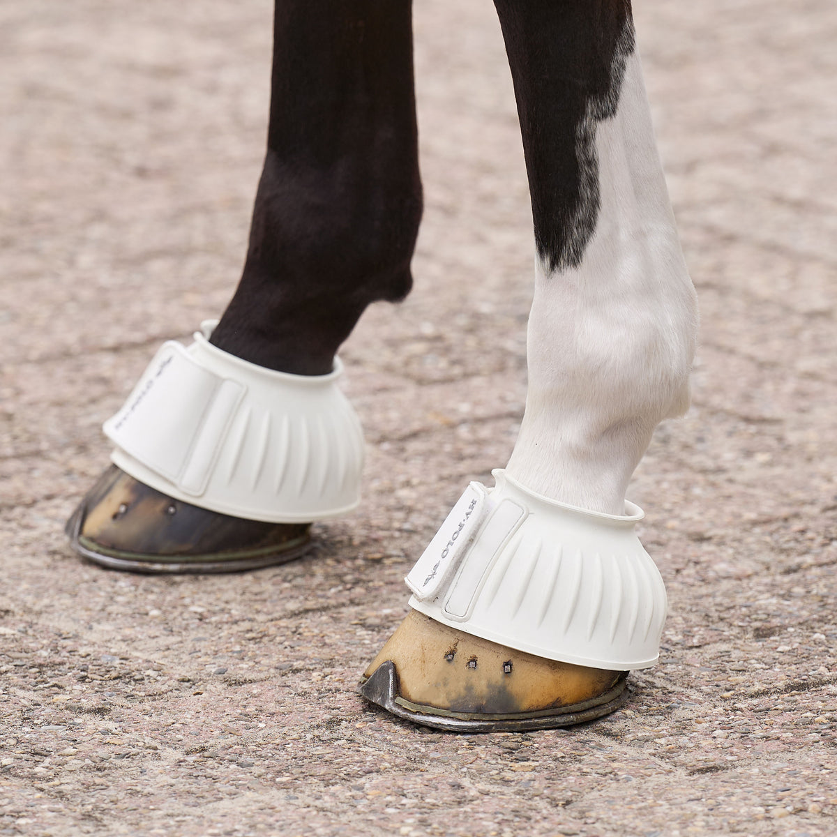 HVPolo Essential Gummiboots - Flera färger
