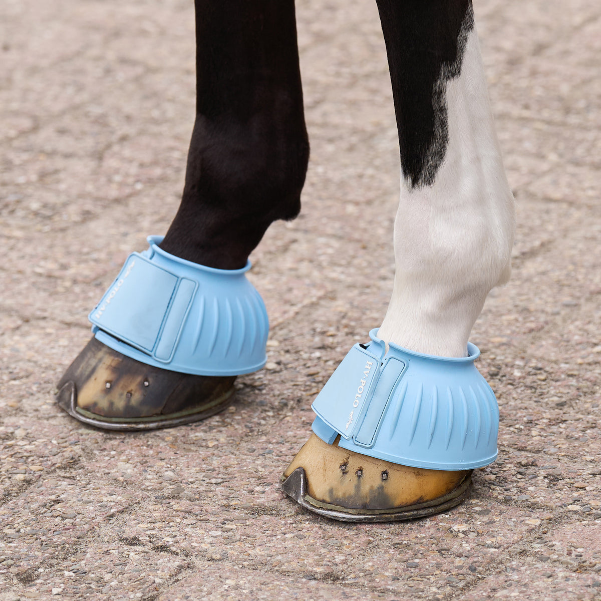 HVPolo Essential Gummiboots - Flera färger