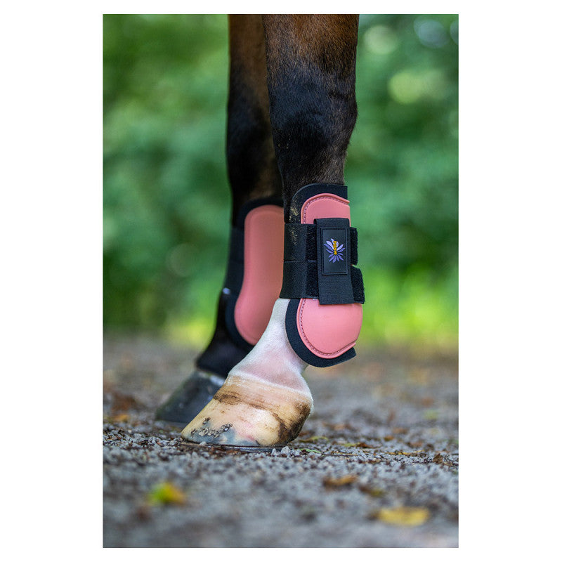 BR Mini Horse Tendon Boots