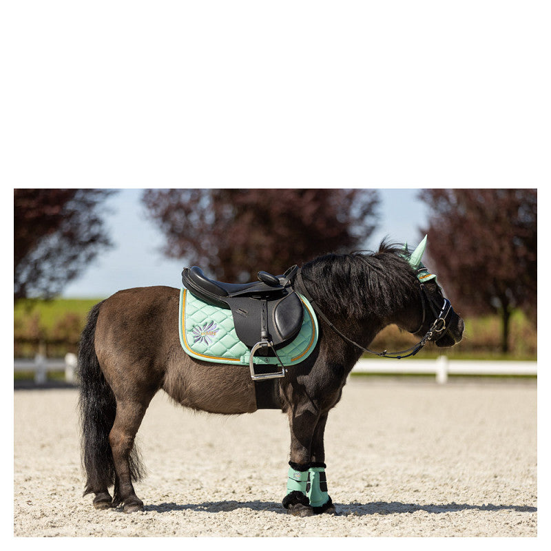 BR Mini Horse Majestic Boots