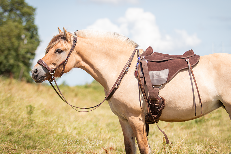 EDIX® Broncho barebackpad