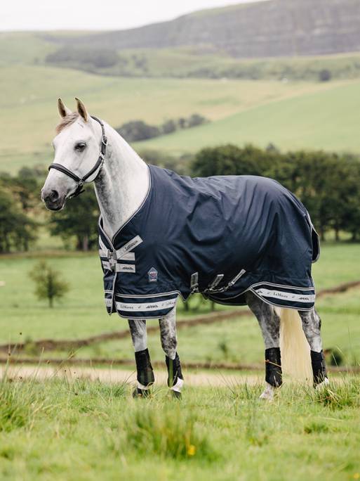 Core LM Arika Featherweight Rug 0g Navy