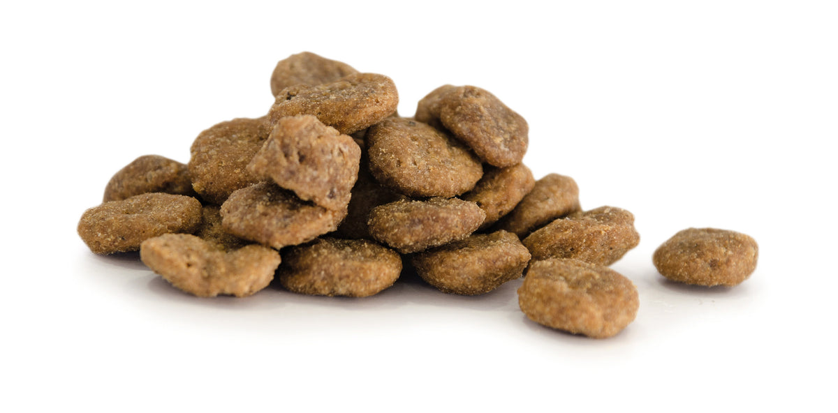 Small Breed Hundfoder