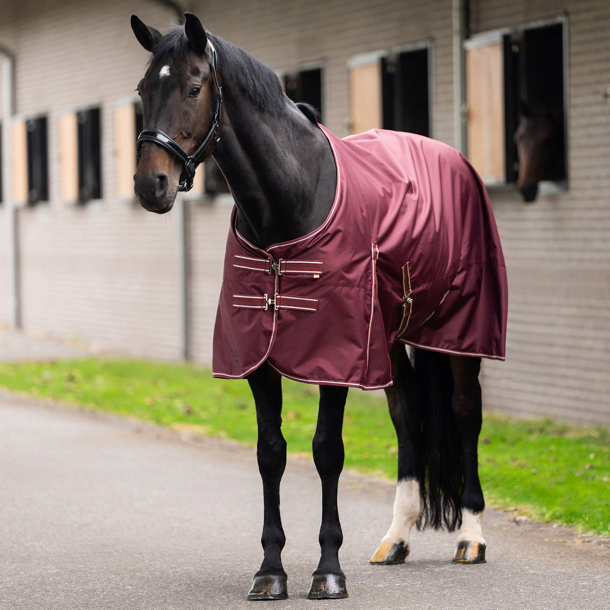 Imperial Riding IRHBasic Utetäcke 200g, Vinröd, st 115