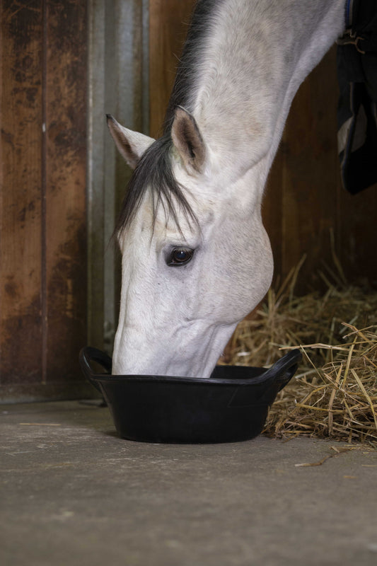 HIPPOTONIC Flexibel Foderskål 12L