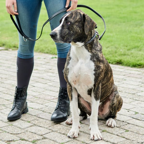 Hundhalsband HVPLegacy