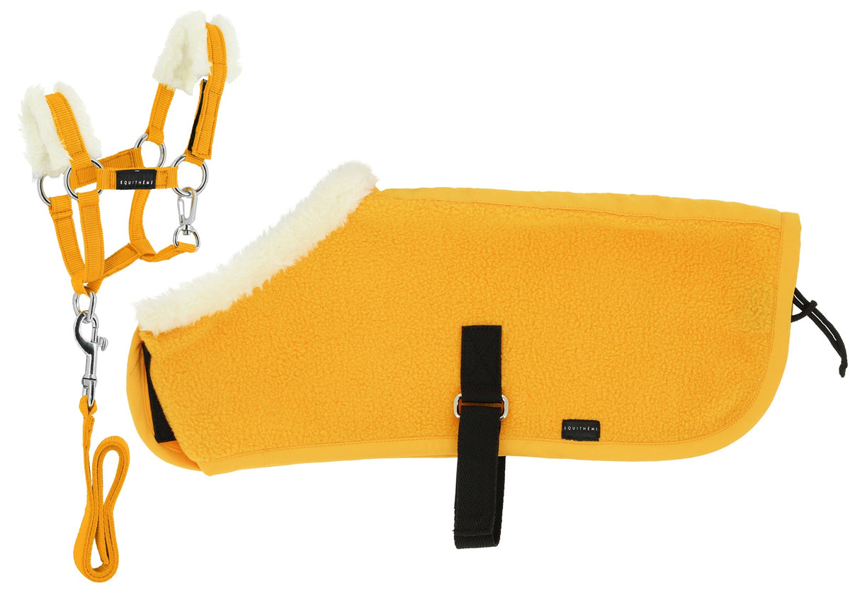 Mini Grimma & Filt SET PONY ACADEMY