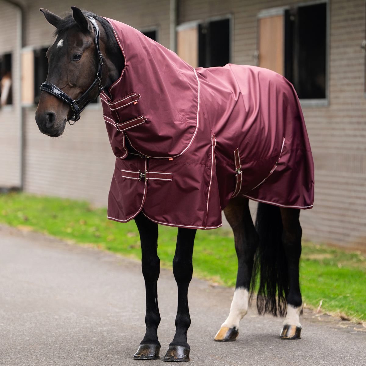 Imperial Riding Utetäcke IRHBasic med avtagbar Hals, 0g, Vinröd