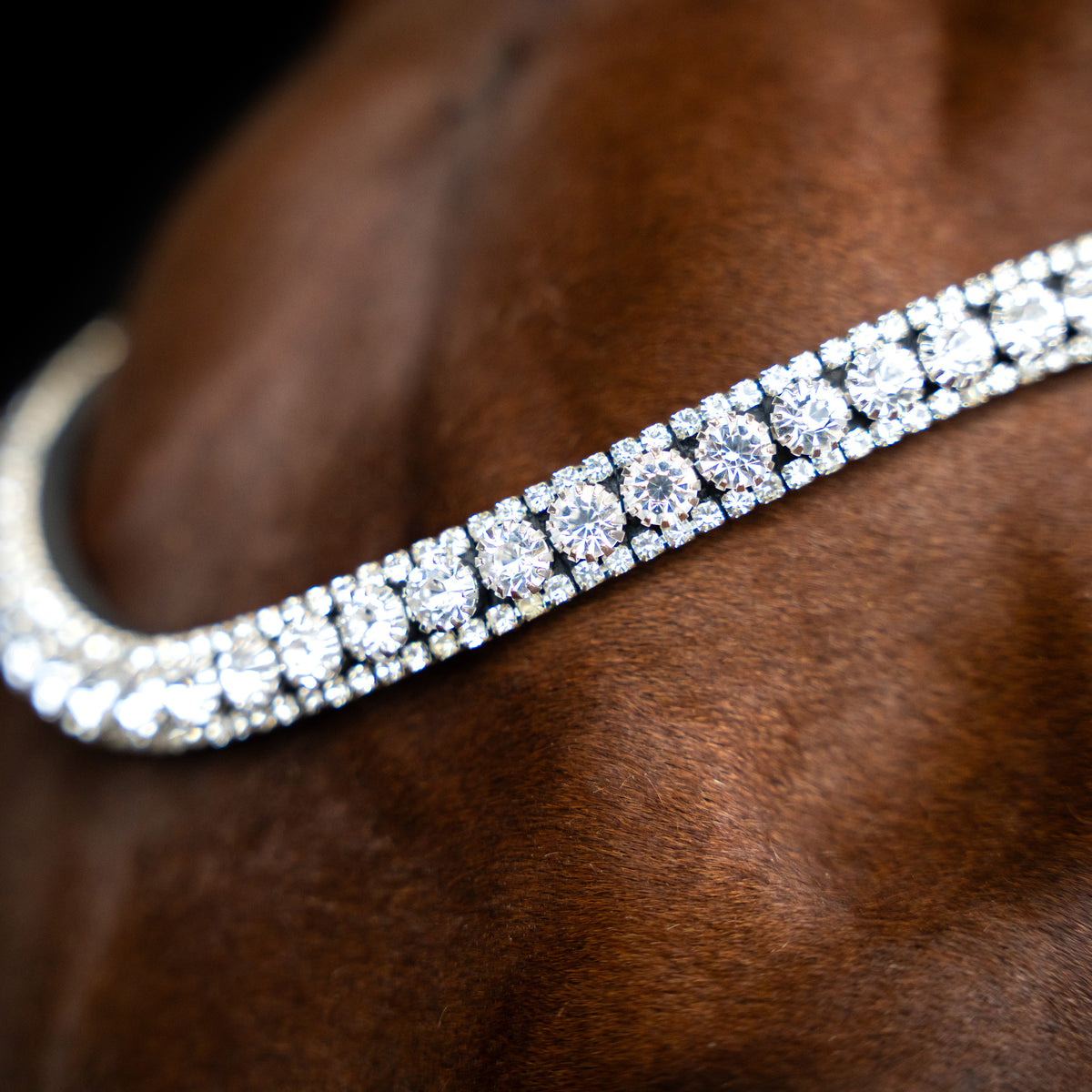 Imperial Riding Pannband IRHSlim