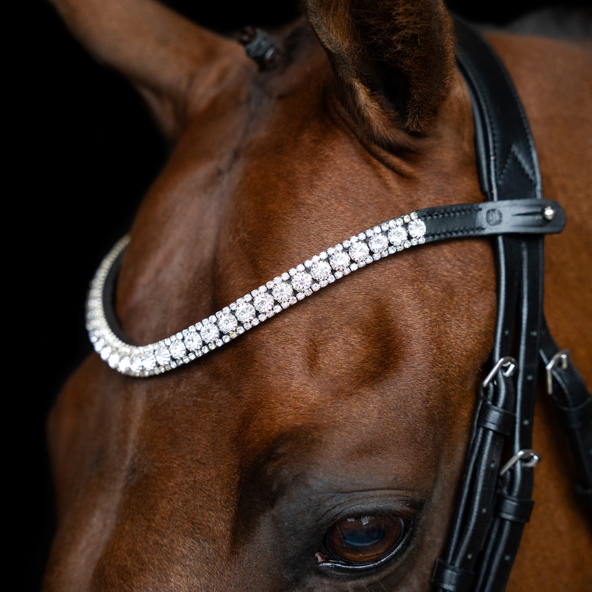 Imperial Riding Pannband IRHSlim