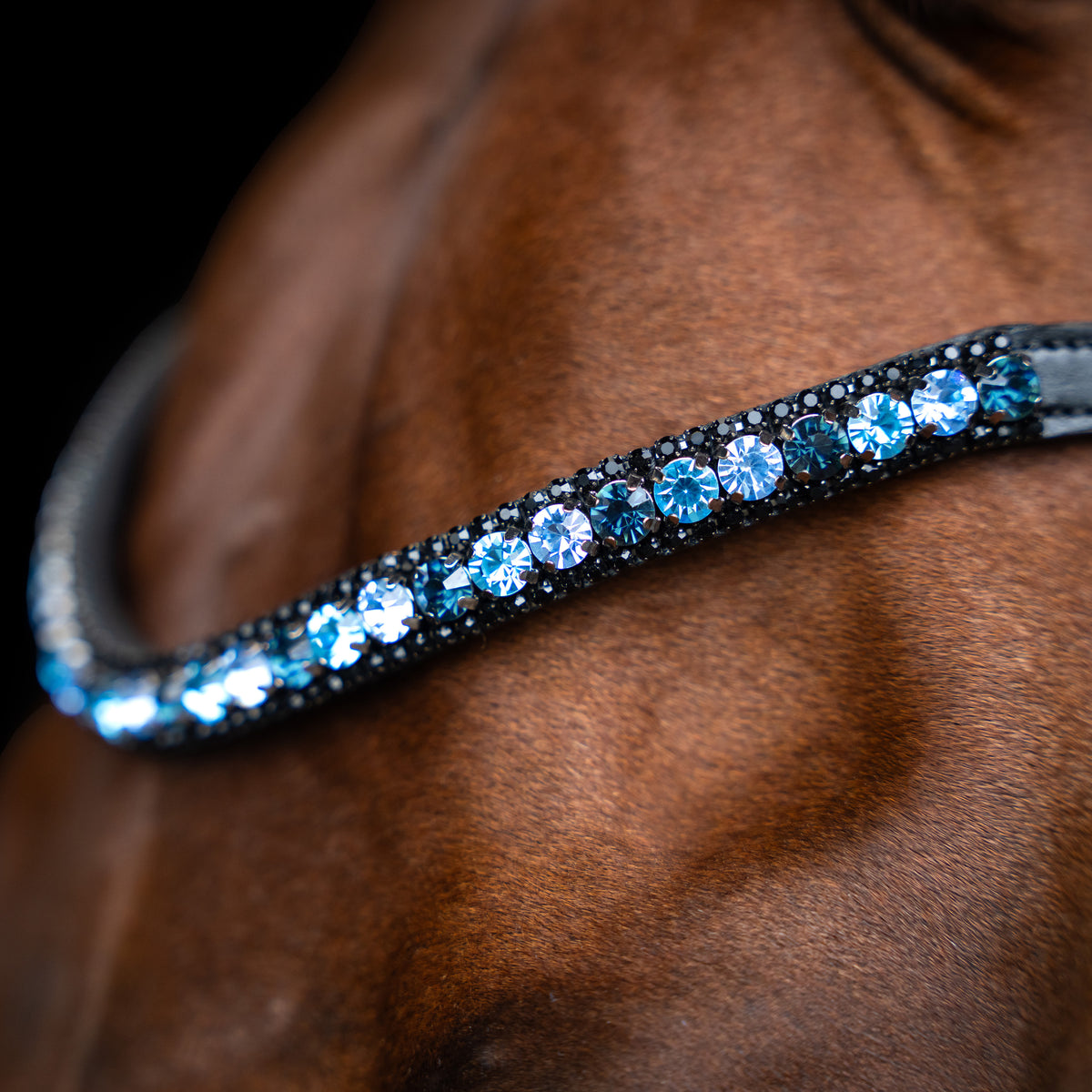 Imperial Riding Pannband IRHGrande