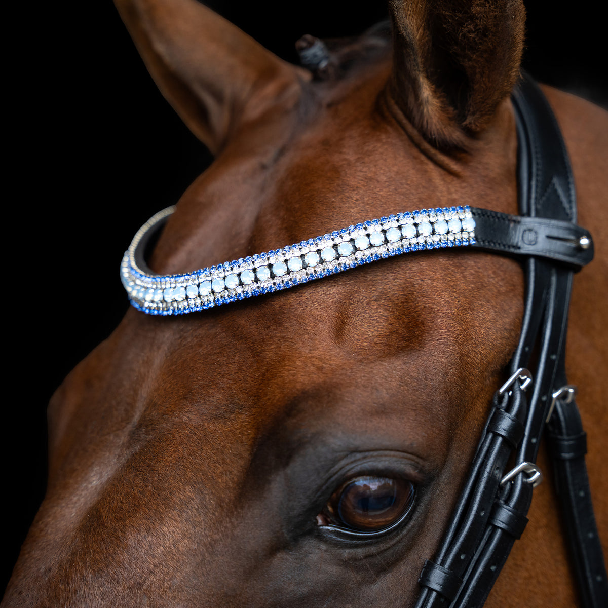 Imperial Riding Pannband IRHMaxima 2