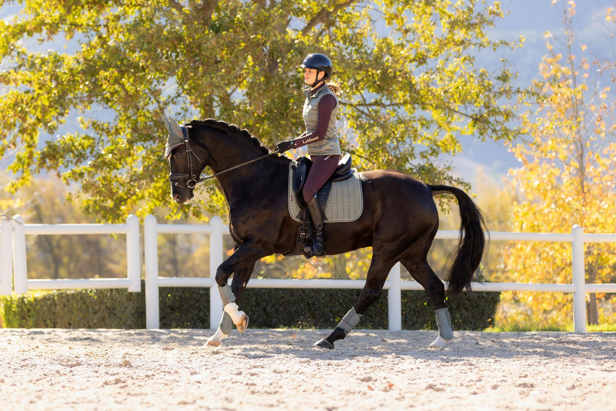 AW25 LM Suede Dressage Square Rosemary
